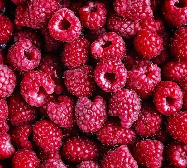 raspberry jams
